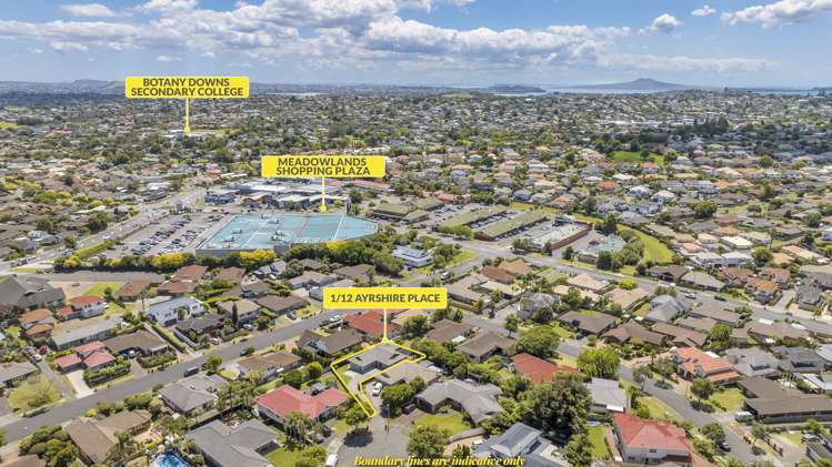 1/12 Ayrshire Place Somerville_23