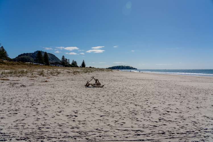 14/281 Maunganui Road Mount Maunganui_18