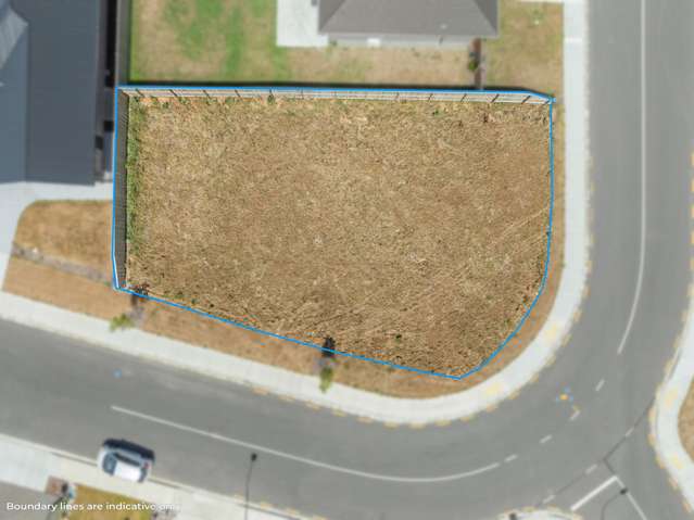 44 Stackwood Avenue Ravenswood_3