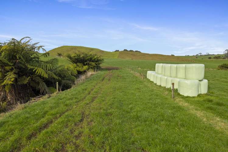 1234 Richmond Road Everett Park_15