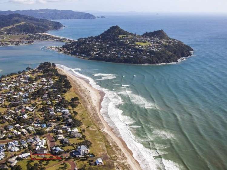 8 Justintime Pauanui_7