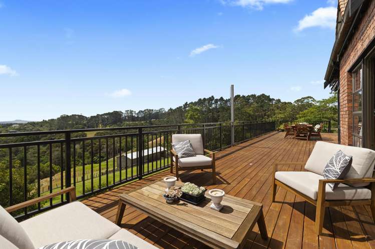 180 Ara-kotinga Whitford_18