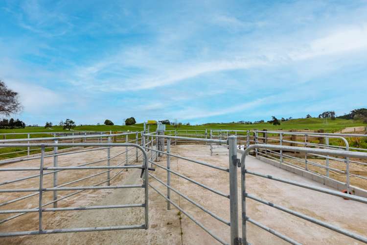 206 Ash Pit Road Rerewhakaaitu_6