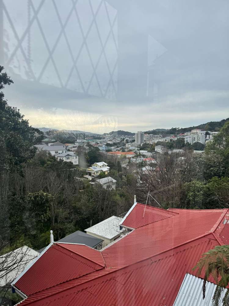 A/31 Devon Street Aro Valley_17