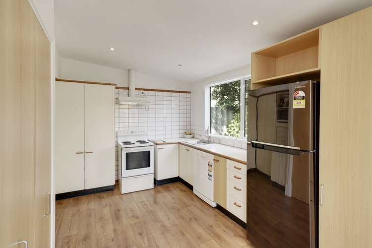 40 Austin Street Sydenham_5