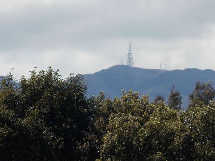 235c Watershed Road Bunnythorpe_20