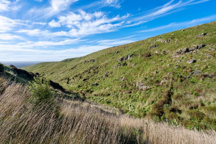 231 Huntsbury Avenue Cashmere_8