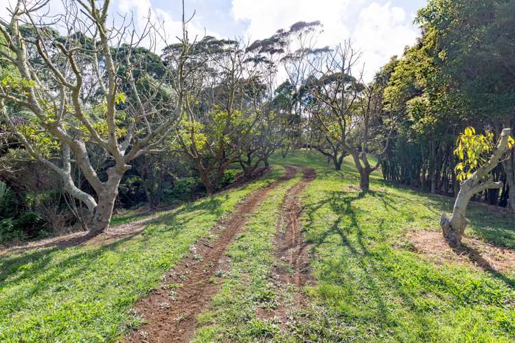 136 Wily Road Puni_24