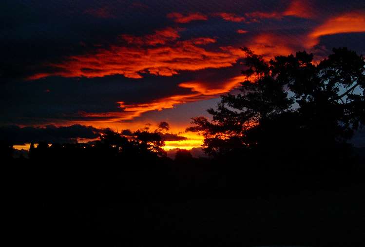 52b Southey Road Opaki_19