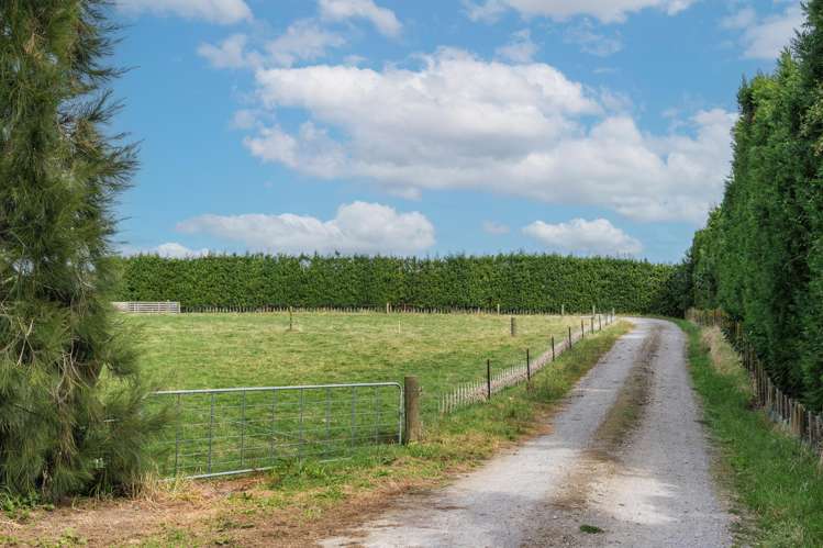 865B Oropi Road Oropi_12