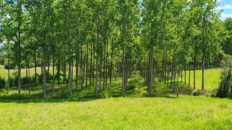 237 Hewlett Road Mata_22