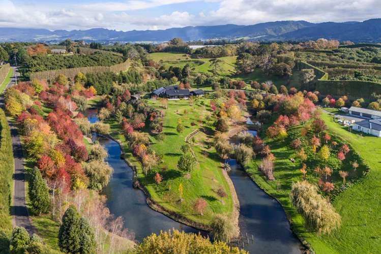 94B Kauri Point Road Katikati_31