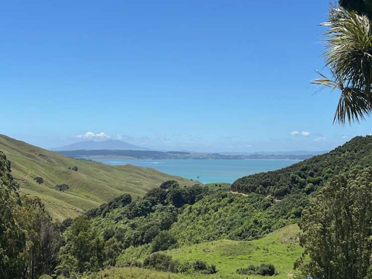 Whakapirau Road Kawhia_15