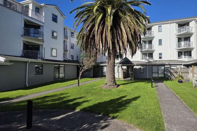 D10/13 Palm Grove, Berhampore