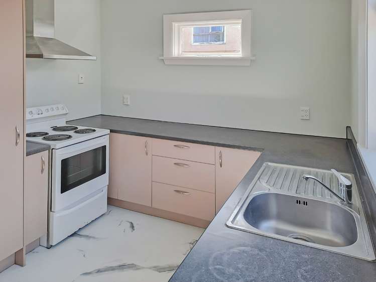 248 Milton Street Sydenham_2