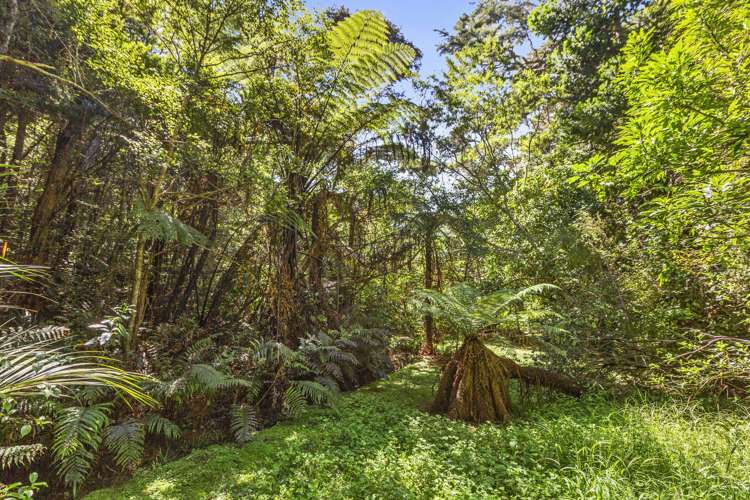 571 Te Akau Wharf Road Te Akau_13