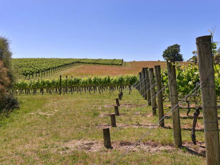 166 Kina Beach Road Tasman_7