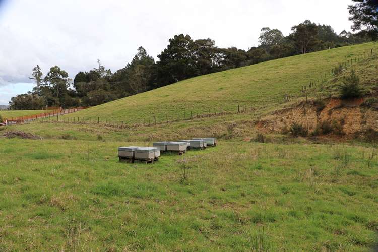 412a Paihia Road Kawakawa_14