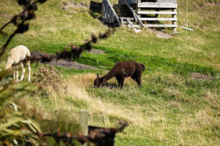 120 Mair Road Curio Bay_36