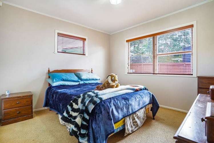 43 Taupo Street Green Bay_5