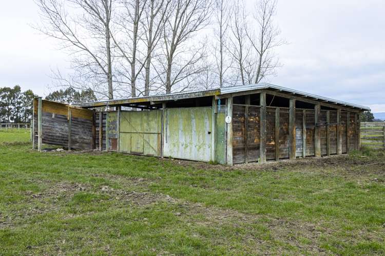 227 Foley Road Kerrytown_12