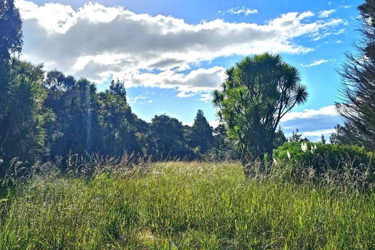 2497A Waima Valley Road Kaikohe_13