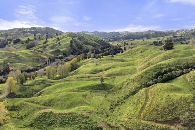 3099 State Highway 4 Te Kuiti_13