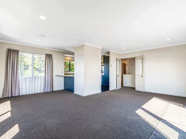 54a Hampton Terrace Parkvale_16