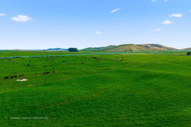 2/1389 Taharua Road Rangitaiki_14