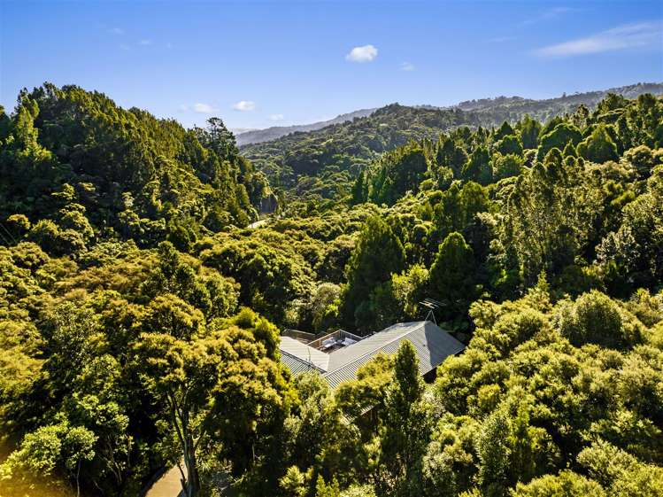 87 Bethells Road Waitakere_13