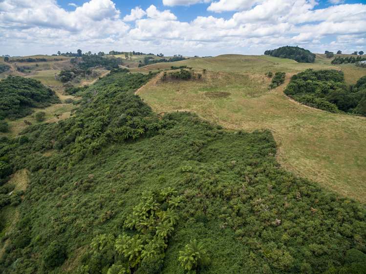 655 Rangitoto Road Te Kuiti_7