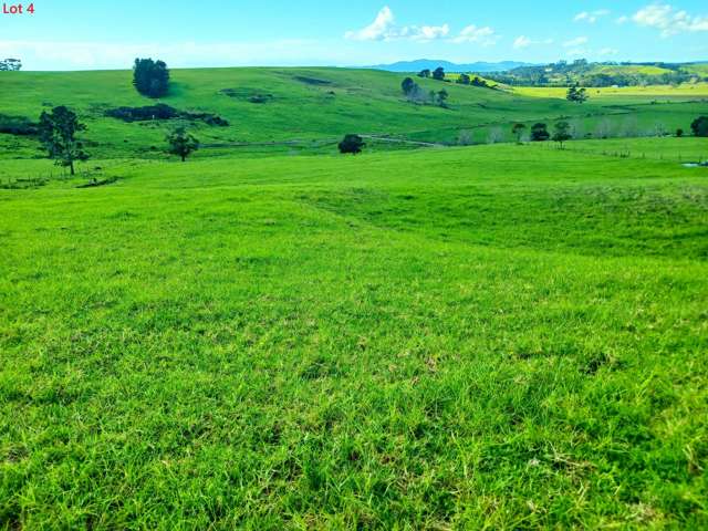 Lots 1-4 Tahanga Road Lake Ohia_3