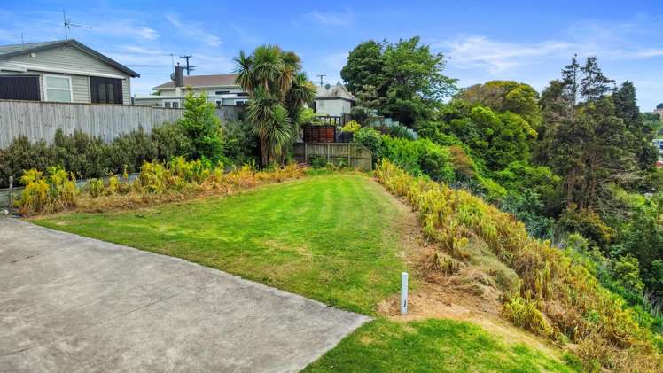 197A Seaview Road Westown_1