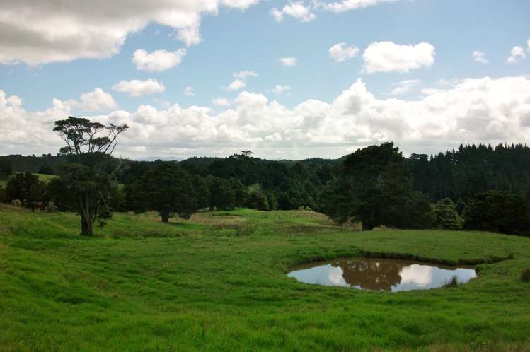 2568a Paparoa-Oakleigh Road Paparoa_7