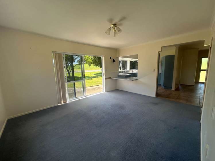 174 Stewart Road Whakamarama_1