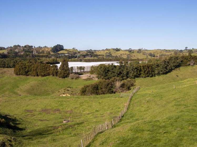 229 Walford Road Katikati_16