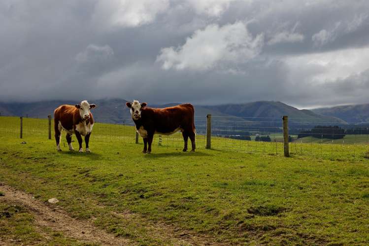 3717and3429 Inland Kaikoura Road Mt Lyford_28
