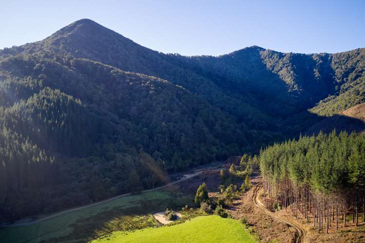 Crail Bay Kenepuru Sound_12