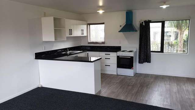 2/56c Burundi Avenue Clendon Park_1