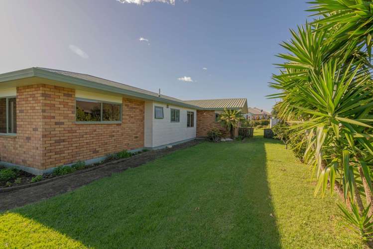 36 Springbok Avenue Whitianga_6