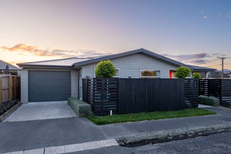 31 Seddon Street Sydenham_30