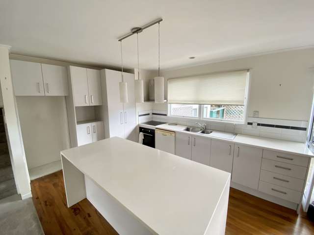 6 Totara Road Te Atatu Peninsula_1