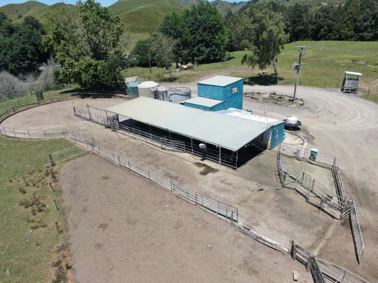 967 Ohura Road Aria_2