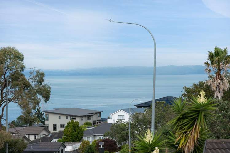 1/281 Hillsborough Road Hillsborough_13