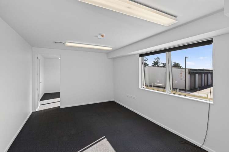 35A Kennaway Road Hillsborough_16