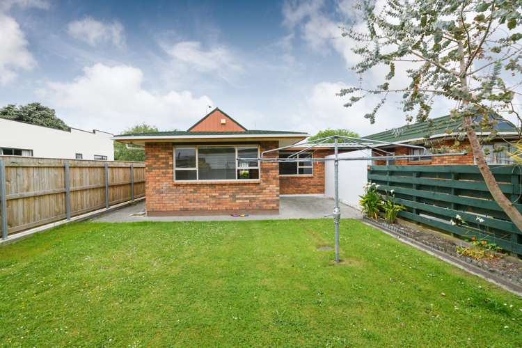 47a Haydon Street Roslyn_19