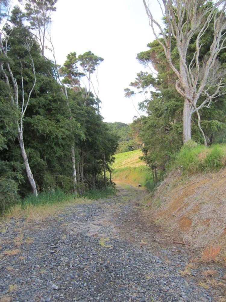 56 Kokopu Lane Mangawhai_4