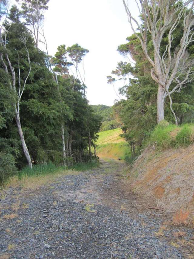 56 Kokopu Lane Mangawhai_4