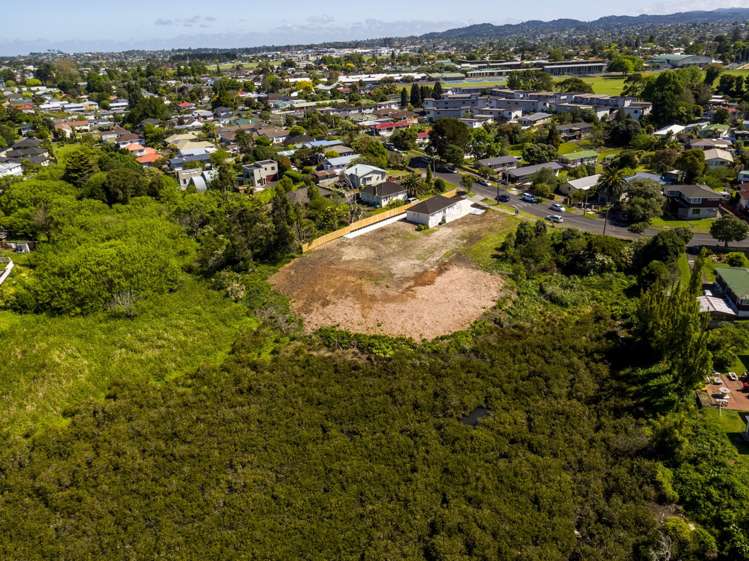 61a Holly Street Avondale_6