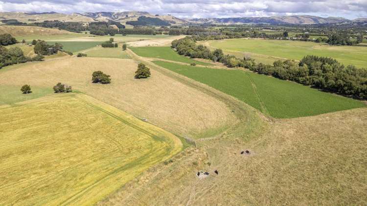 167 Ponatahi Road Martinborough_1